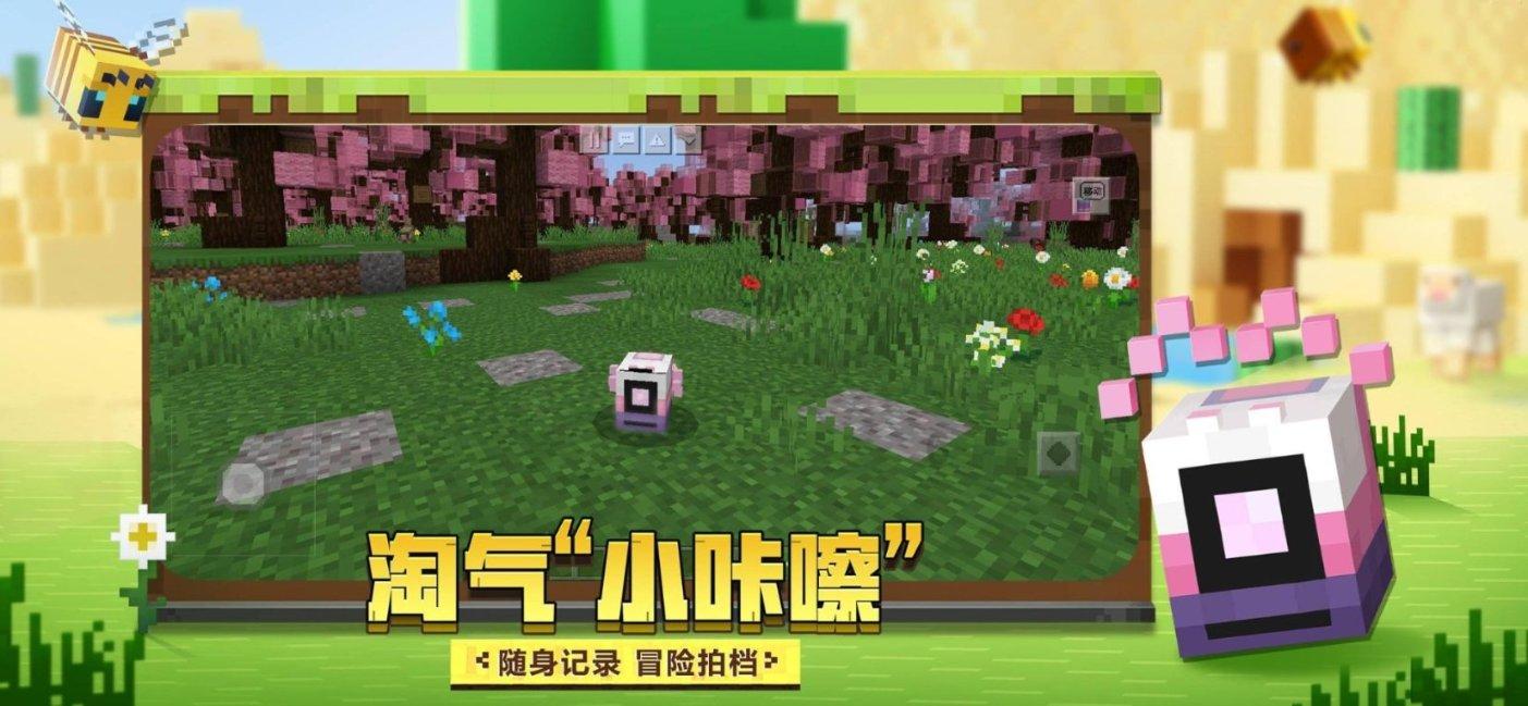 蓝狐视频