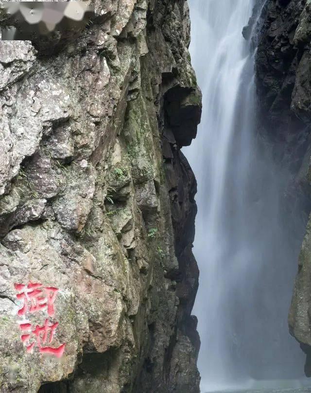 88影视
