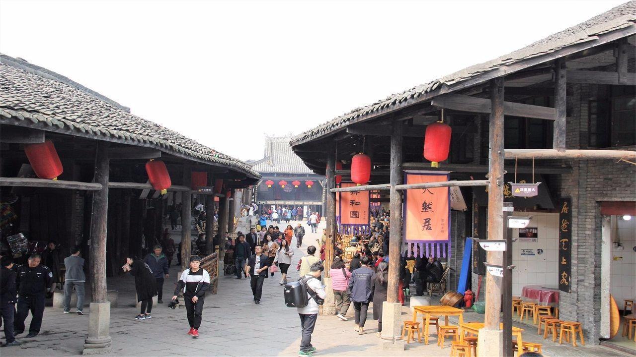 探索无限智慧,尽在植物团叶鳞始蕨是长什么样子的?蜗牛问答平台
